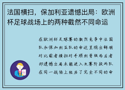 法国横扫，保加利亚遗憾出局：欧洲杯足球战场上的两种截然不同命运