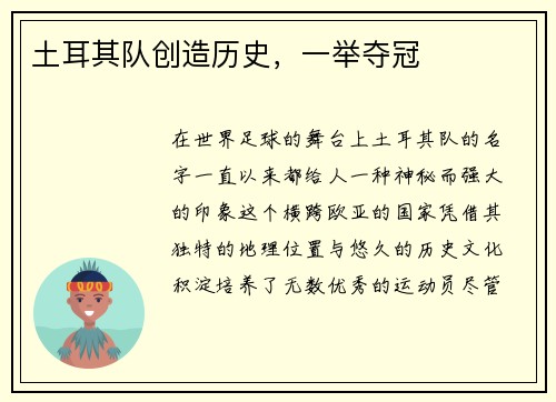 土耳其队创造历史，一举夺冠